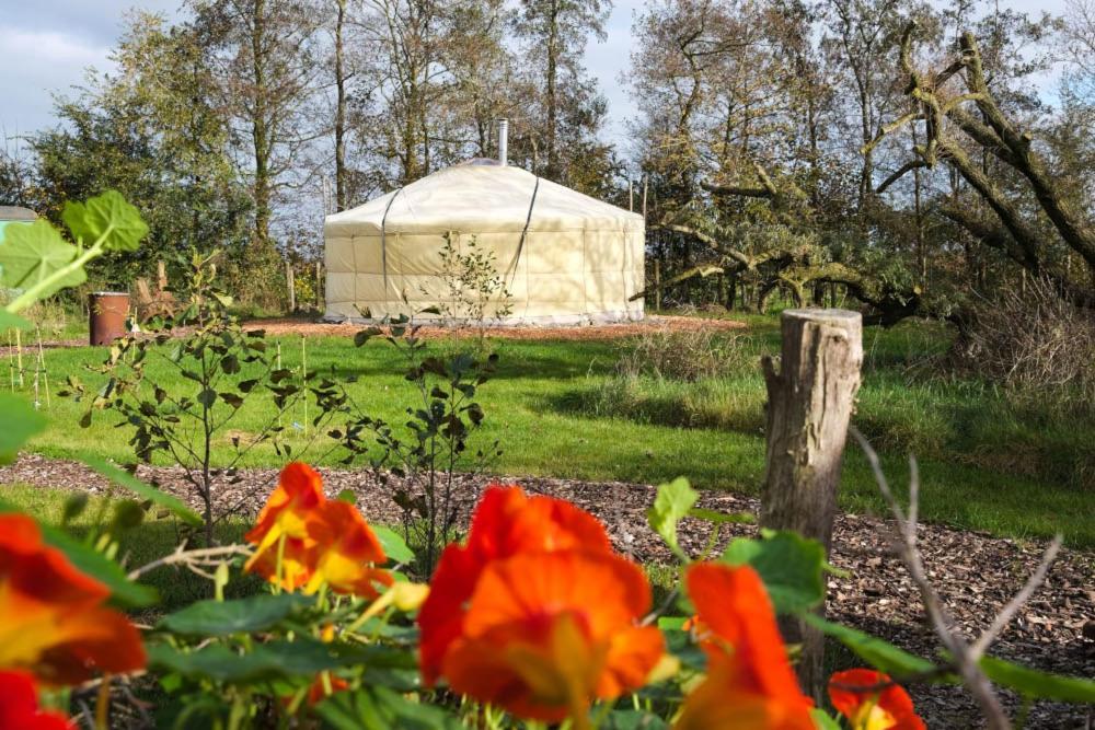 Bed and Breakfast Yurt Klyndobbe Veenwoudsterwal Esterno foto